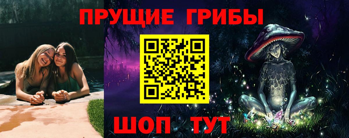 Сердобск  Галлюциногенные грибы прущие грибы  Вход с VPN 